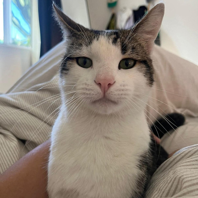 Photo of Bobby