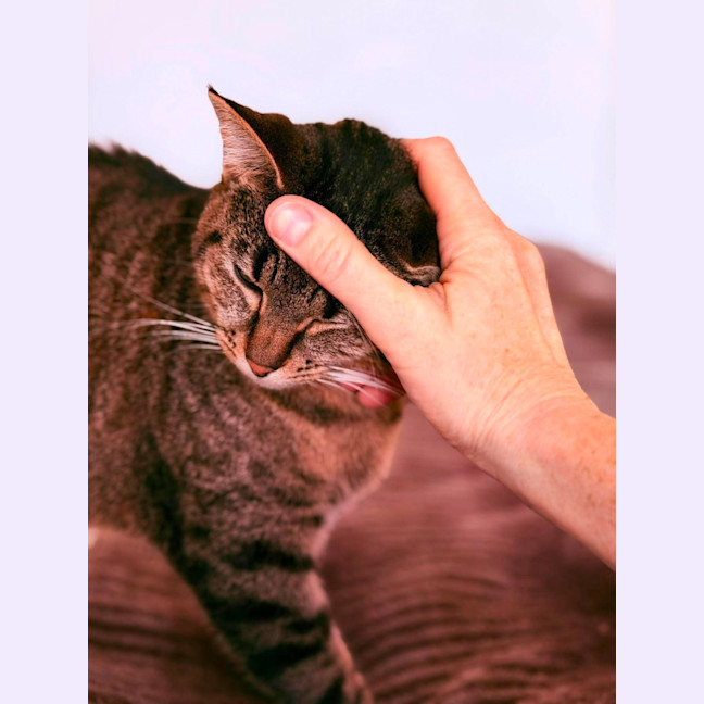 Photo of Hazel