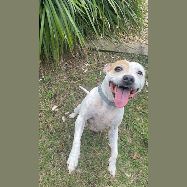 Photo of Molly (0976)