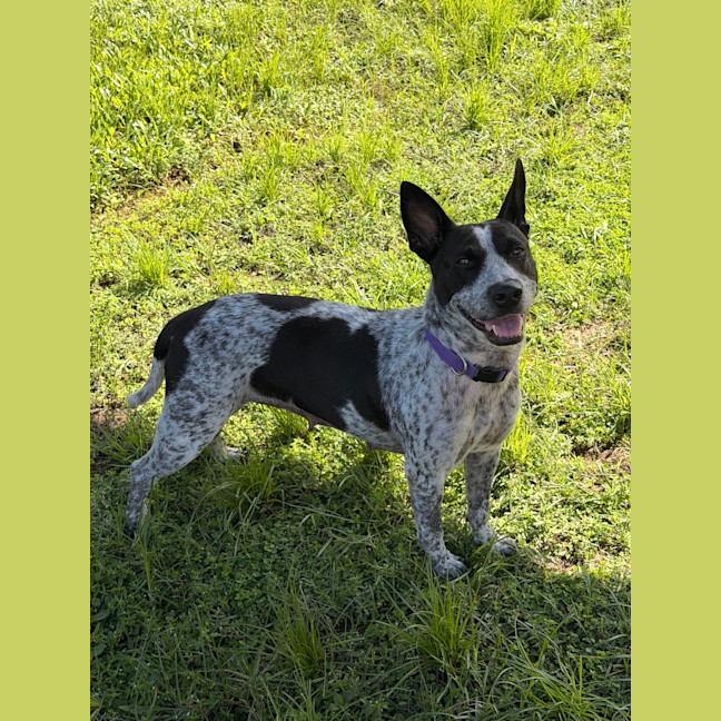 Photo of Bobbi