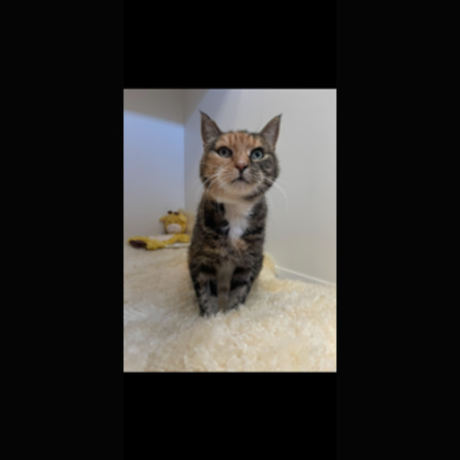 Photo of Alice