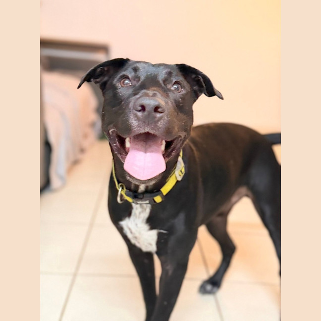 Photo of Benny