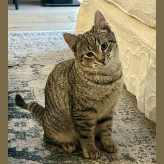 Photo of George