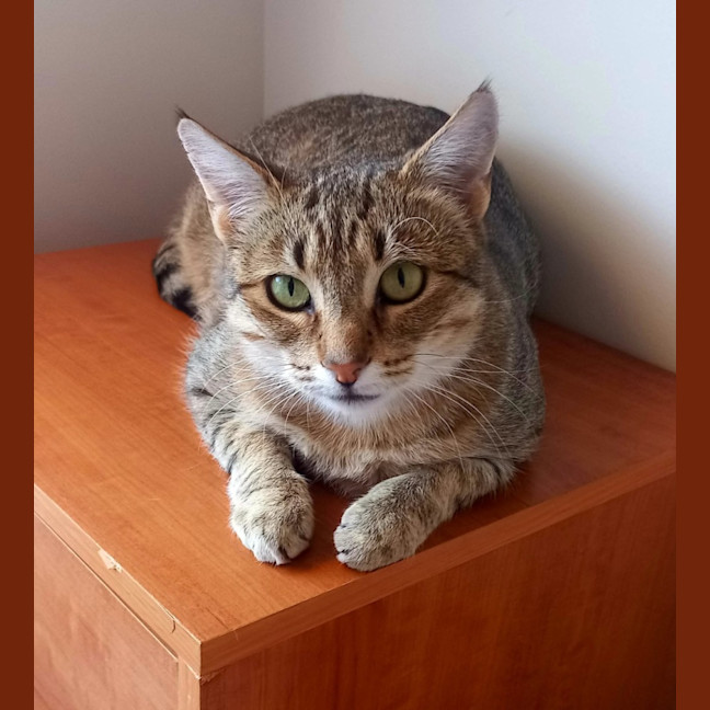 Photo of Esmerelda (Essie) 