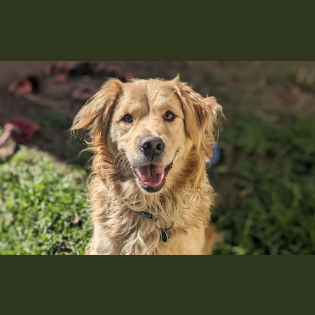 Photo of Melo