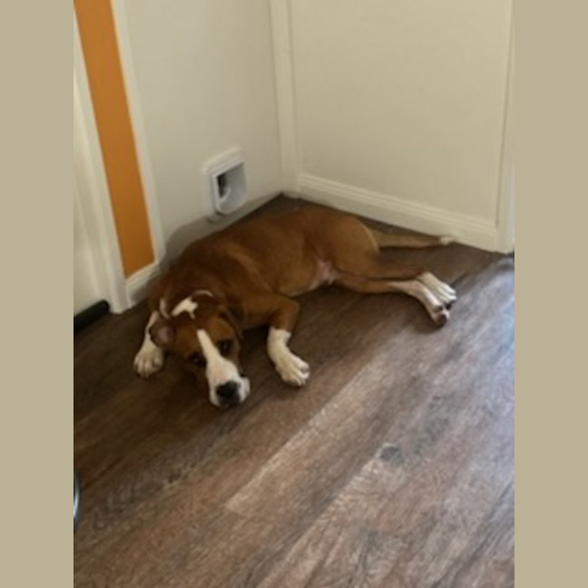 Photo of Boof ** A Divine Boy **