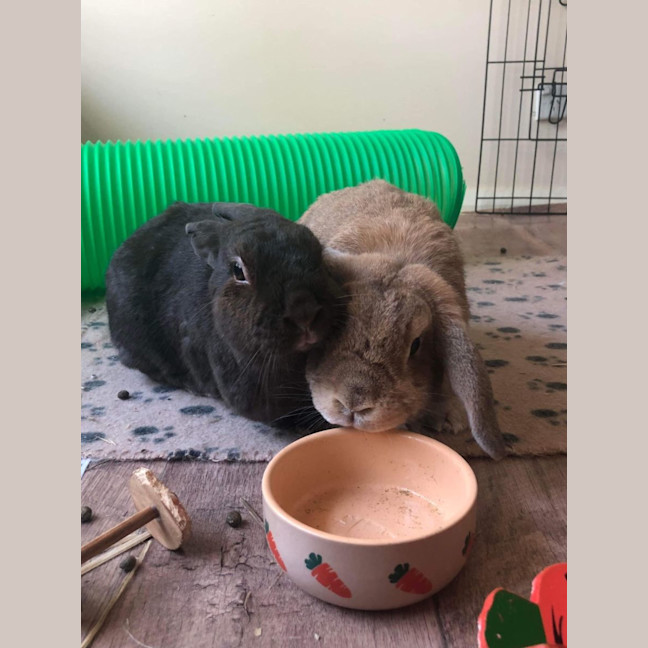 Photo of Fluffy (With Peter)