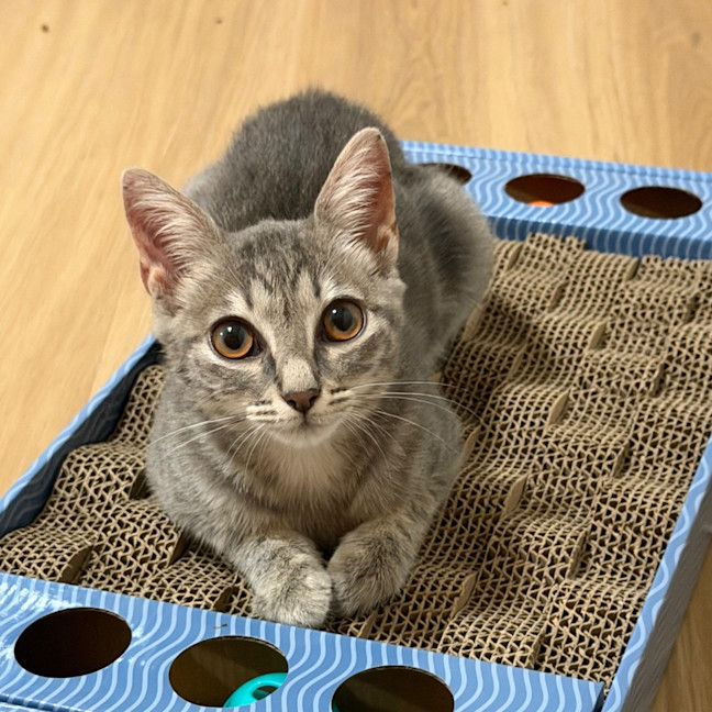 Photo of Hazel
