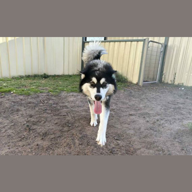 Photo of Korra
