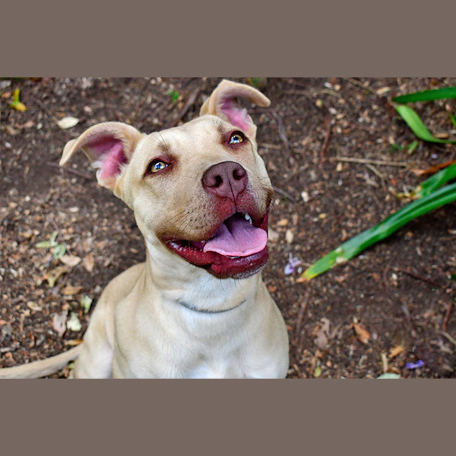 Photo of Octavia Octopus