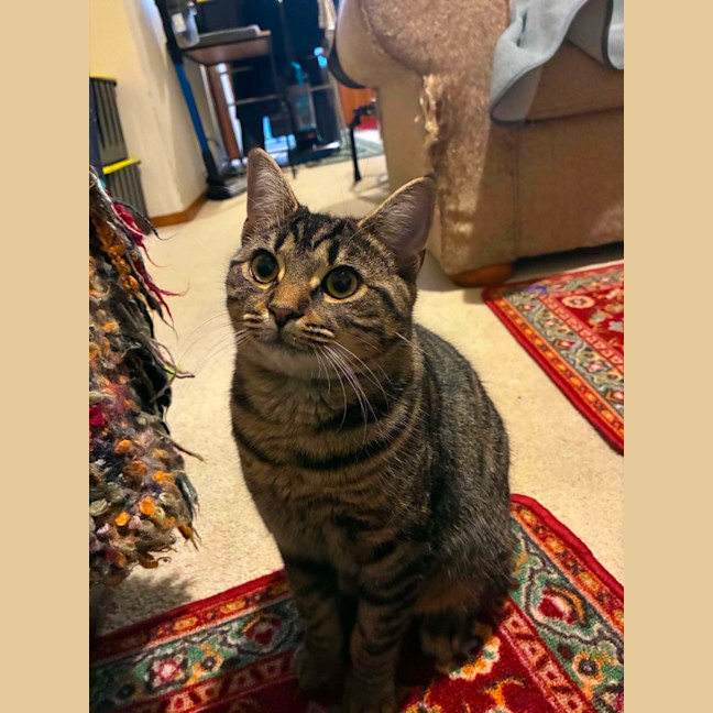 Photo of Essie