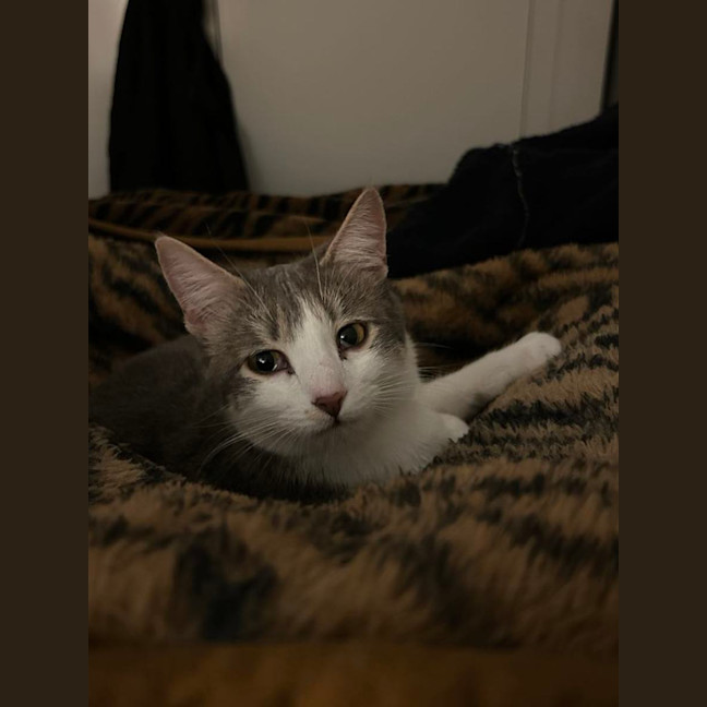 Photo of Lil Sabrina