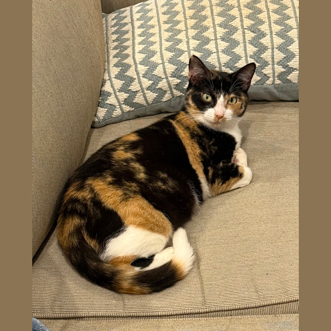 Photo of Cleo