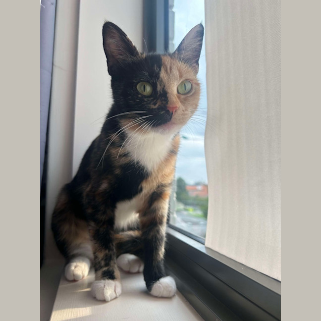 Photo of Ruby ❤️