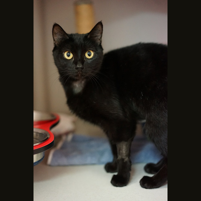Photo of Mavis