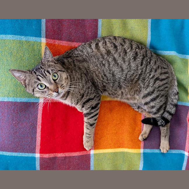 Photo of Oliver