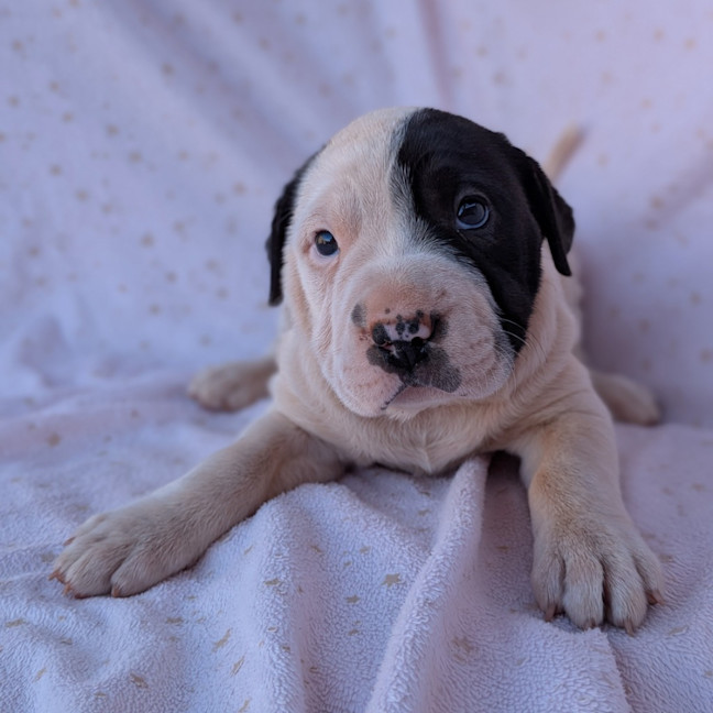 Photo of Blinky