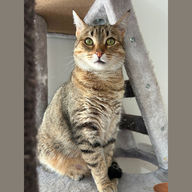 Photo of Esmerelda (Essie) 