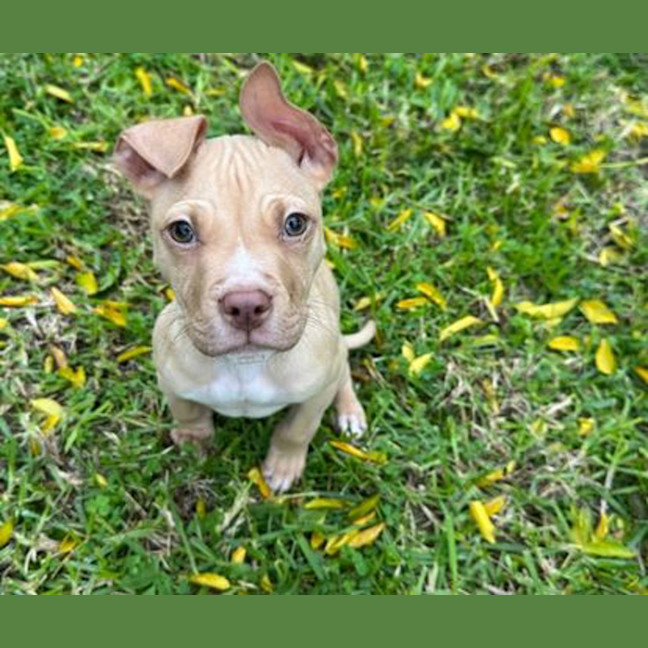 Photo of Bingo