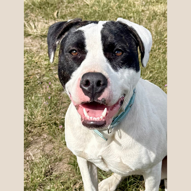 Photo of Tessa