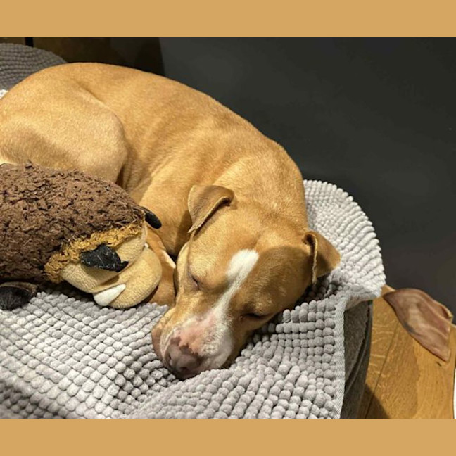 Photo of Zoe