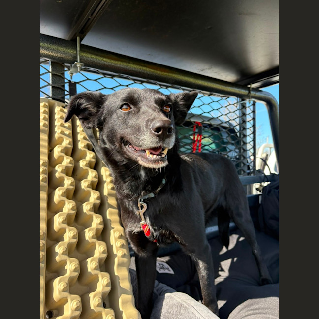 Photo of Rosie