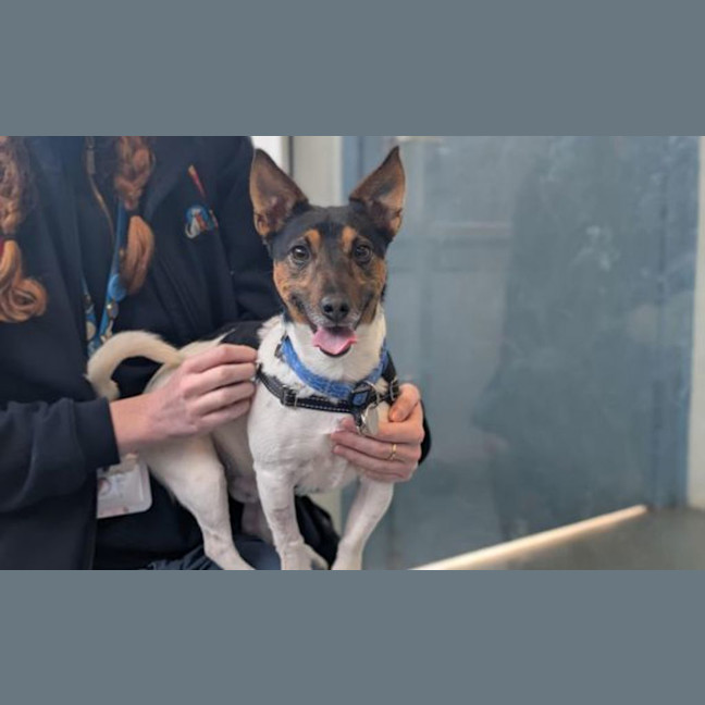 Photo of Reggie