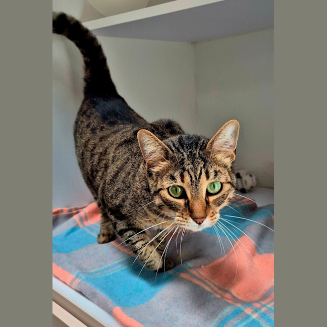 Photo of Linda (6749)