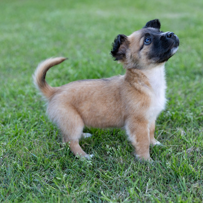 Photo of Mabel