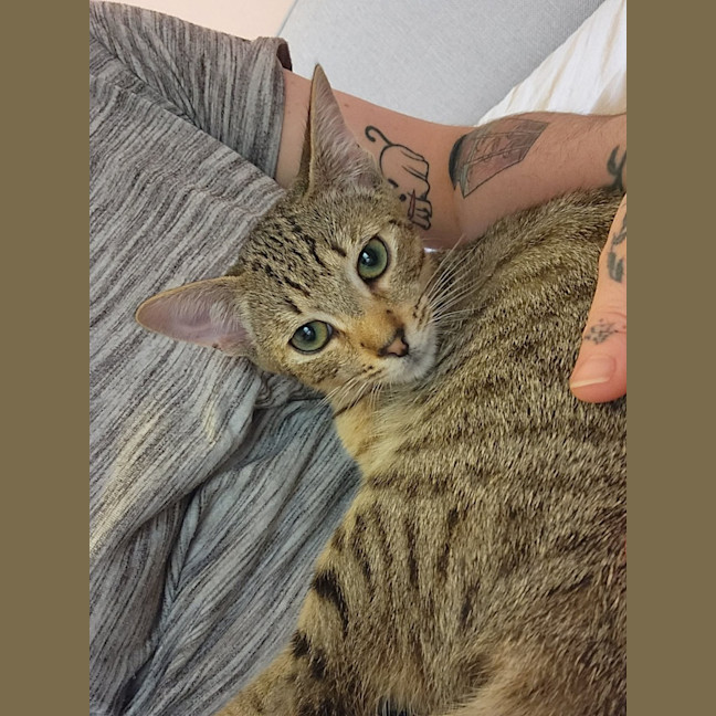 Photo of Woody & Chester 