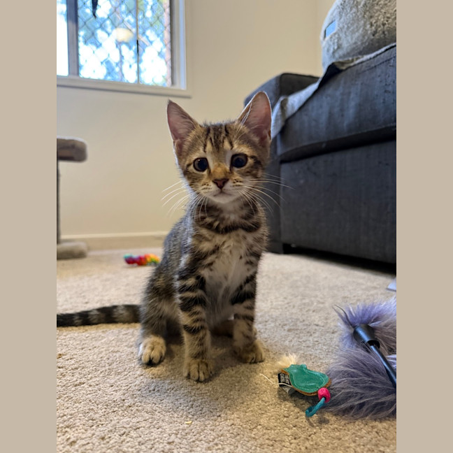 Photo of Tim Tam