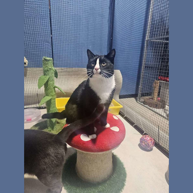 Photo of Tommy And Sammy