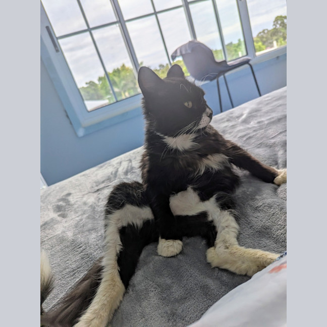 Photo of Kevin