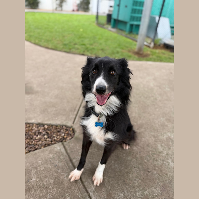 Photo of Alfie 