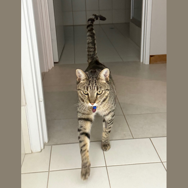 Photo of Archie