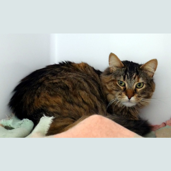 Photo of August Rsua010511