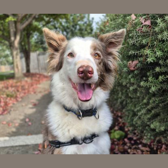 Photo of Maverick