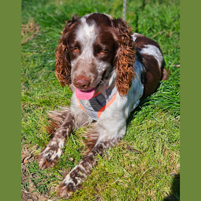 Photo of Max