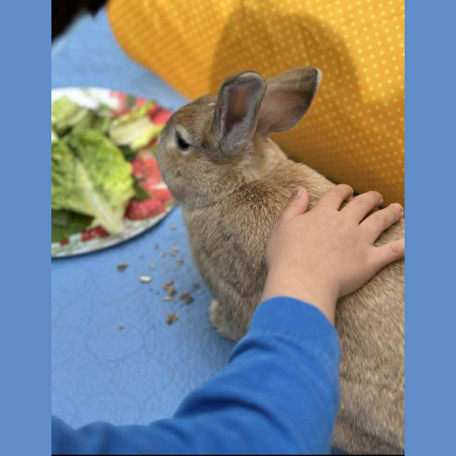 Photo of Stella & Thumper