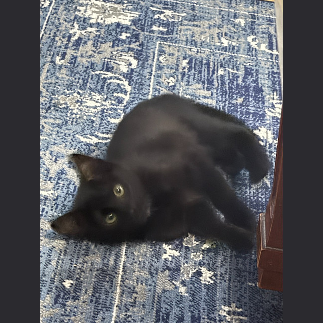 Photo of Minnie