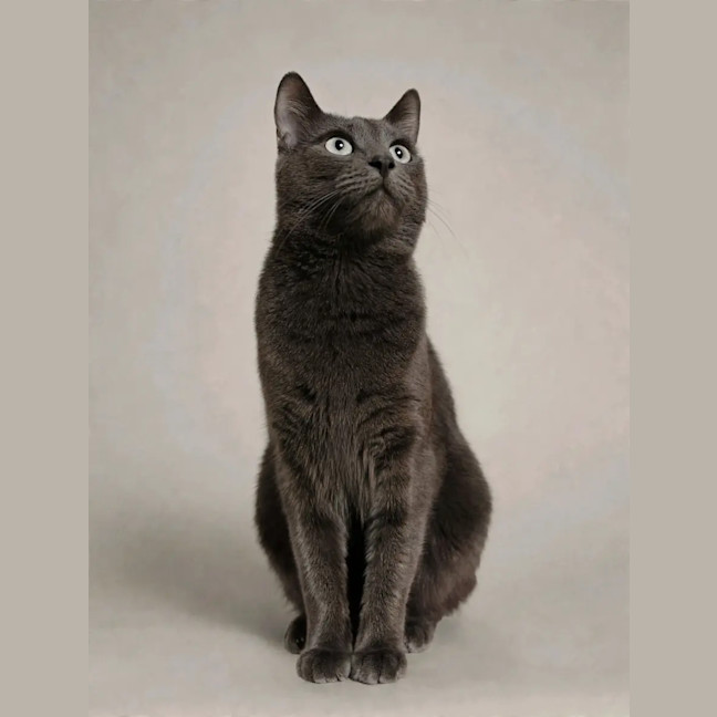 Photo of Max