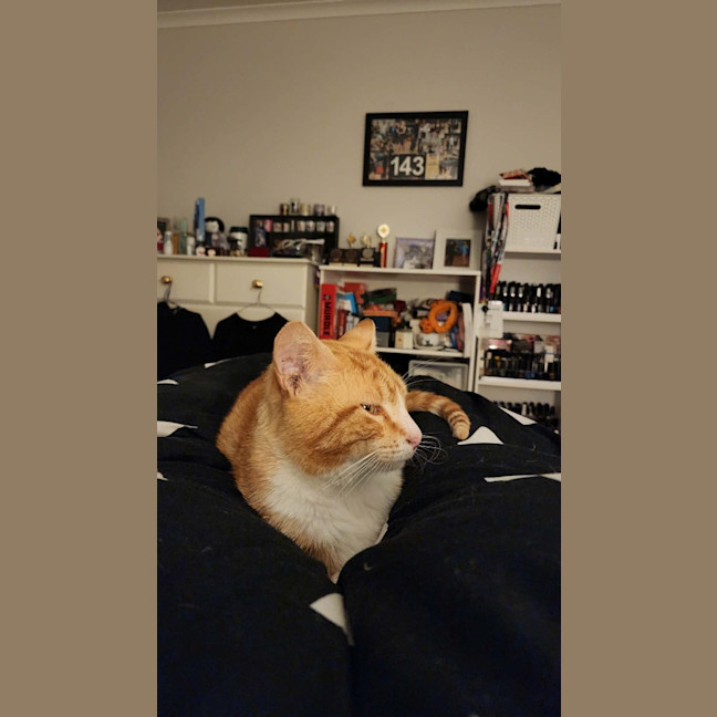 Photo of Julio