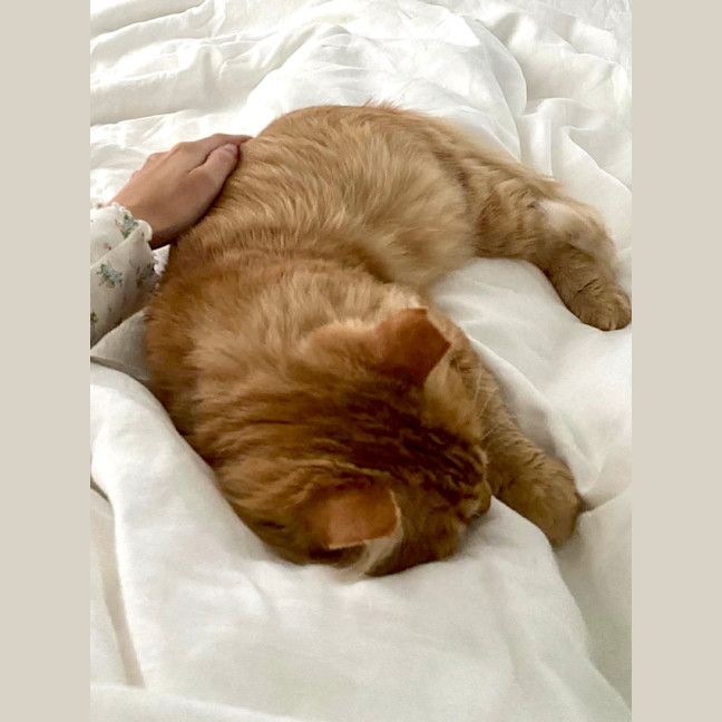 Photo of Ginger Boy