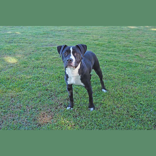 Photo of Diva