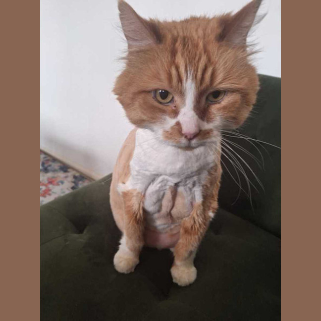 Photo of 😻 Eugene (Gene) 