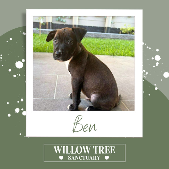 Photo of Ben