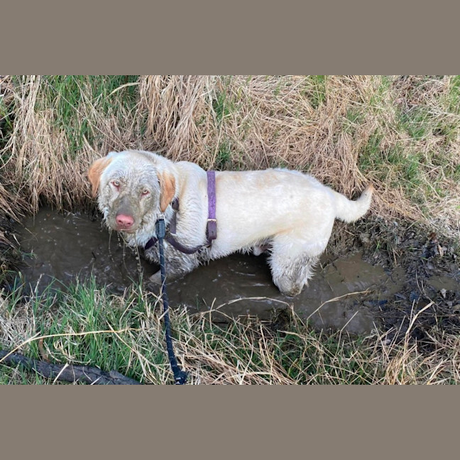 Photo of Max