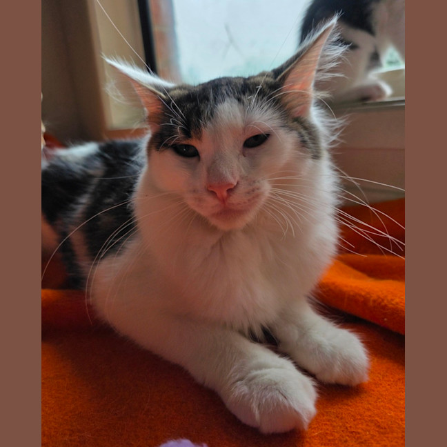 Photo of Dotty