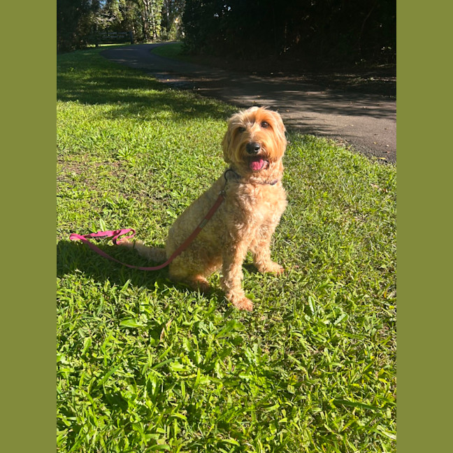 Photo of Gigi
