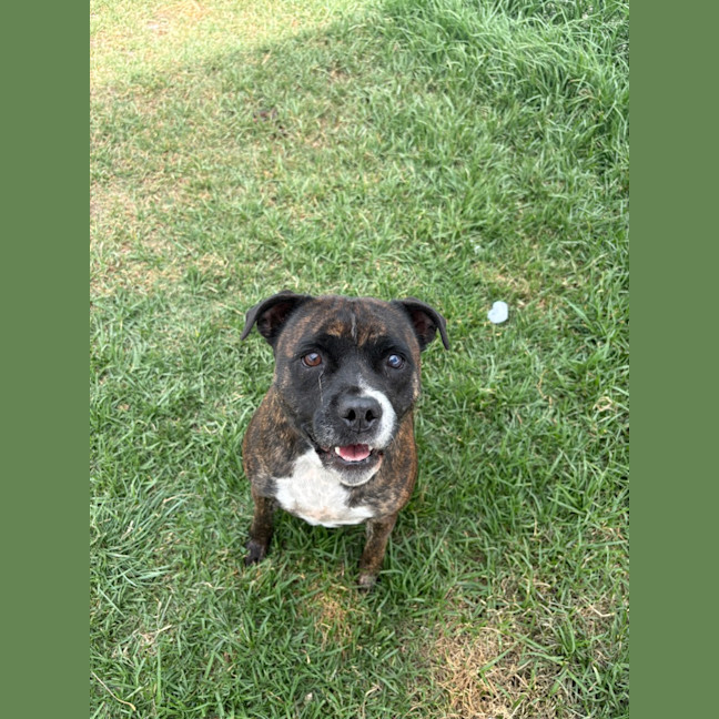 Photo of Lola